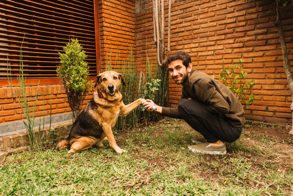 Quienes somos perro y dueño Ladra y aprende